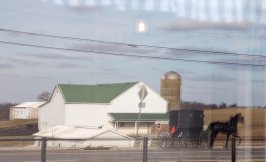 Reflection of a black horse-drawn buggy passing a white farm house