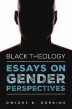 Essays on Gender Perspectives book cover