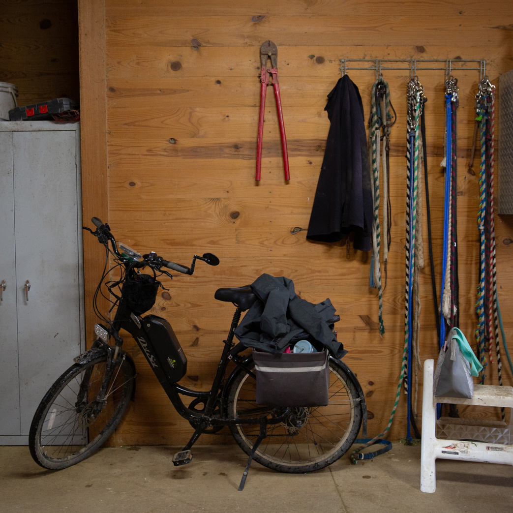 black electric bicycle parked in stable with horse leads