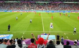 Football fan waves South Korean flag in front of packed stadium at the World Cup 2022