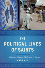Political Lives of Saints book cover