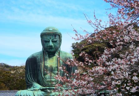 Buddha statue with cherry blossoms