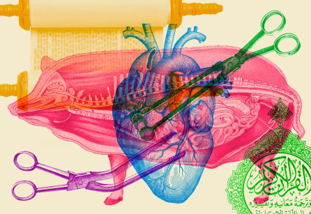 collage image of a heart and a pig. 