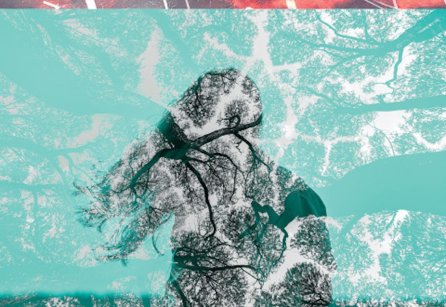 Century illustration (Source images: Getty)