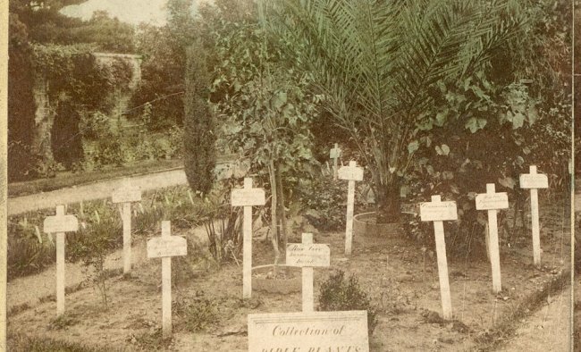 Garden with various cross plots