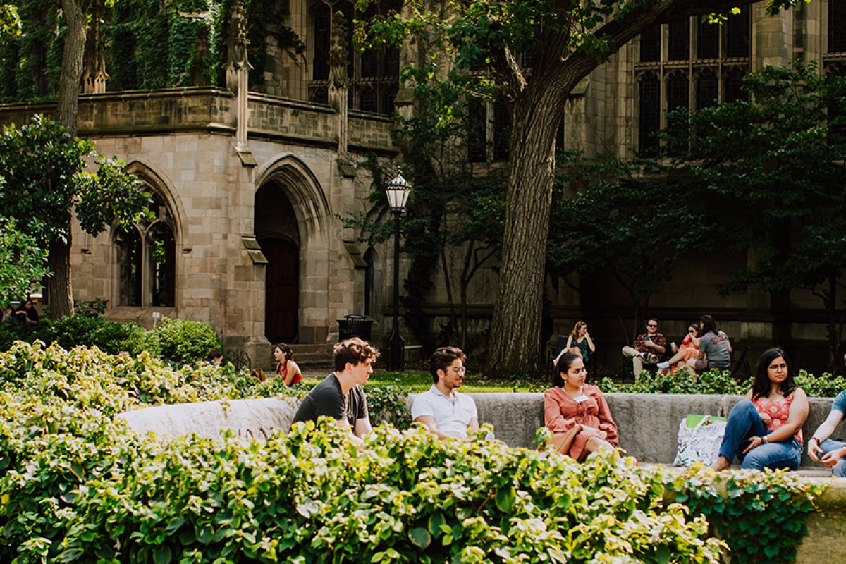 Students sit and talk in lush green courtyard outside of university's Gothic-style buildings.