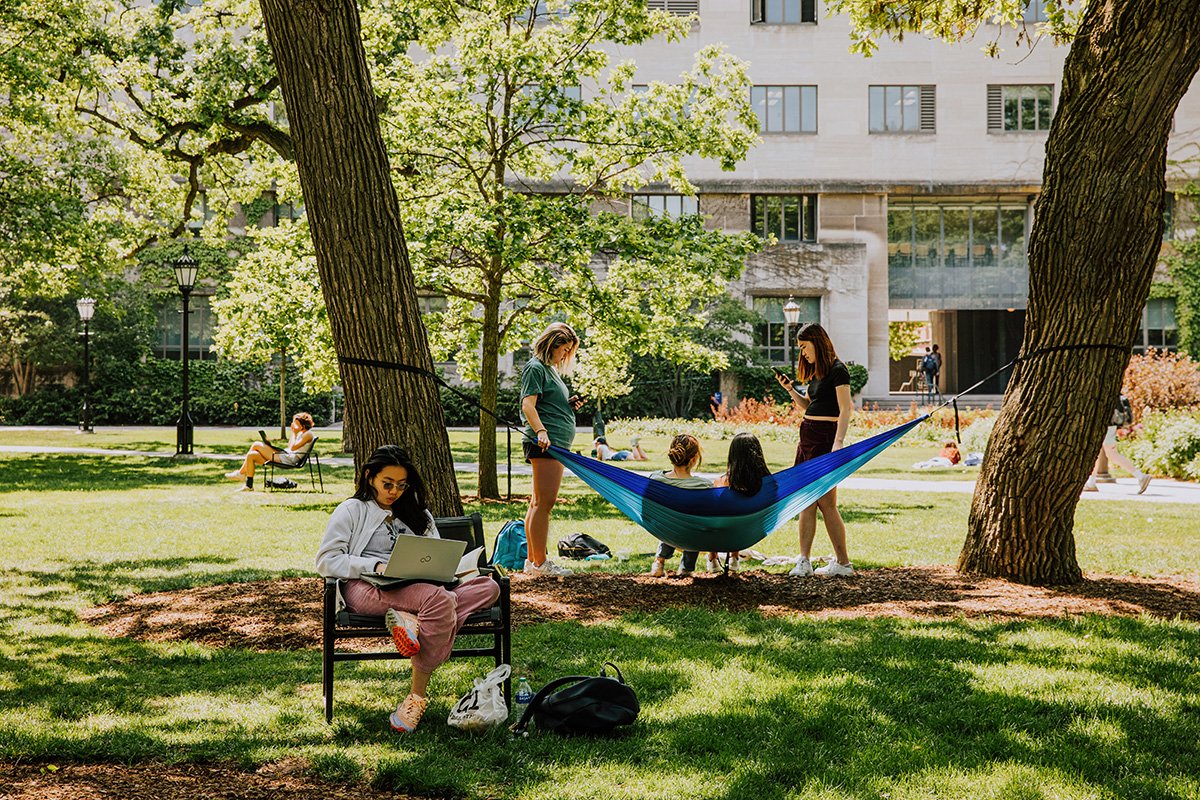 Students rest on the green lawn on the main quad at University of Chicago