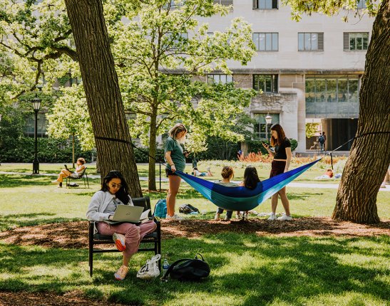 Students rest on the green lawn on the main quad at University of Chicago