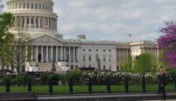 image of the us capital