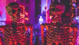 Two skeletons facing each other against a purple and orange backdrop
